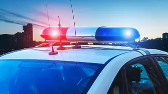 Шофьор се заби в пътен знак  в Борован