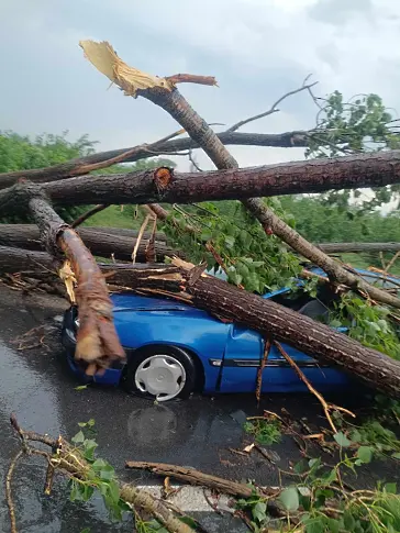 При силната буря мъж оцеля по чудо, след като дърво се стовари върху колата му