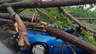 При силната буря мъж оцеля по чудо, след като дърво се стовари върху колата му
