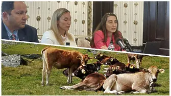 Кампания 2024: Новостите при обвързаната подкрепа за животновъди