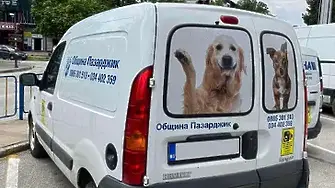 Ветеринари със специализиран автомобил ще ловят бездомни кучета в Пазарджик