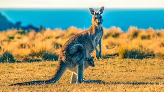  Мъж поч </div>

</article>
<style>
.youtube{
  width:100%;height:500px;
}
@media only screen and (max-width: 600px) {
.youtube {
    height:250px;
  }
}
</style>
<div style=