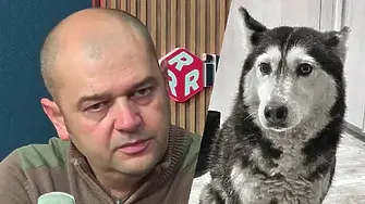 Явор Гечев: Човек няма едно сърце за животните и друго за хората!