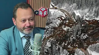 Всичко за свлачището в Родопите: Говори министър Найденов!