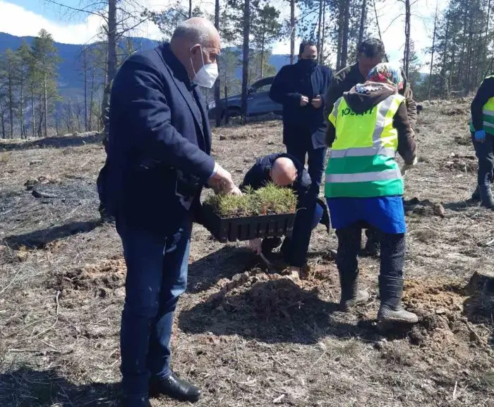ДГС-Елешница с нов временен директор