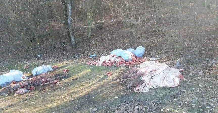 Откриха торби с биологични отпадъци край сливенско село