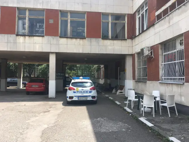 Електронен пастир,който да пречи на излизането на животни на пътя има вече в района на КАТ