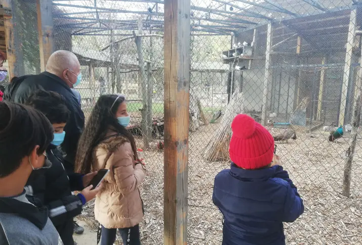 Зооцентърът в Добрич получи дарение от ученици - малък паун