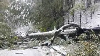 Важно за шофьорите - къде не може да се преминава заради усложнена зимна обстановка и паднали дървета