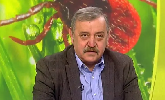Пик на ухапвания от кърлежи. Проф. Кантарджиев: Всеки носи в тоалетна хартия по едно кърлежче за преглед