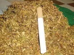 Полицията откри 10 кг тютюн в гараж - издирват се обитателите на имота