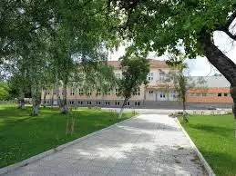 Седмокласничката Габриела Ганчева бе отличена за разказ за рицарската постъпка 