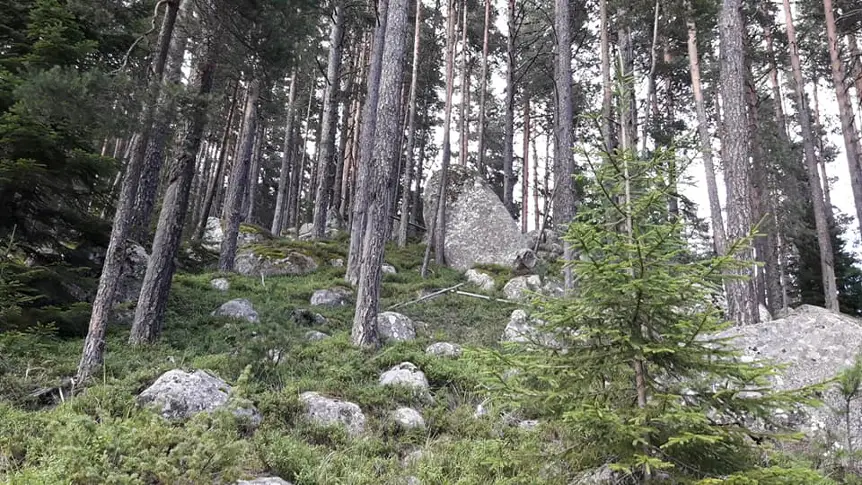 Възрастен мъж изчезна в планината край село Нова махала
