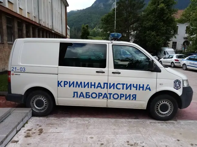 И прокуратурата се захваща с мъртво откритите кучета под връх „Перелик“