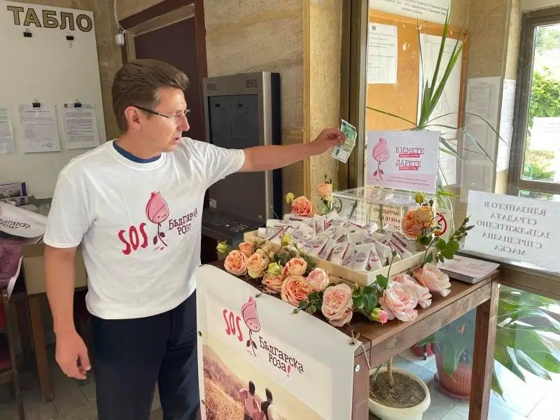 Спасяват розопроизводството в Средногорието с дарителска акция
