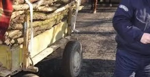 С две каруци и един автомобил трима мъже транспортирали незаконни дърва за огрев