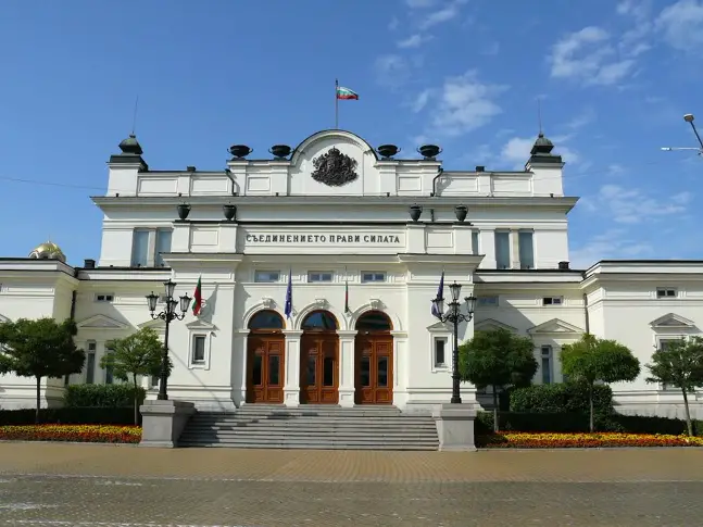 Карастоянова напусна парламентарната група на Патриотите