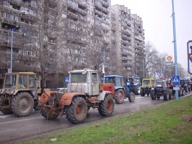 Очаква се добра зърнена реколта