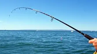 Риболовците на протест