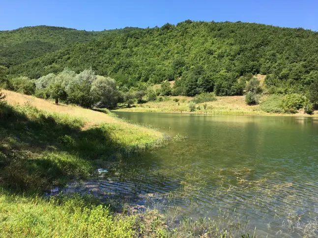 В петък слънчево и топло