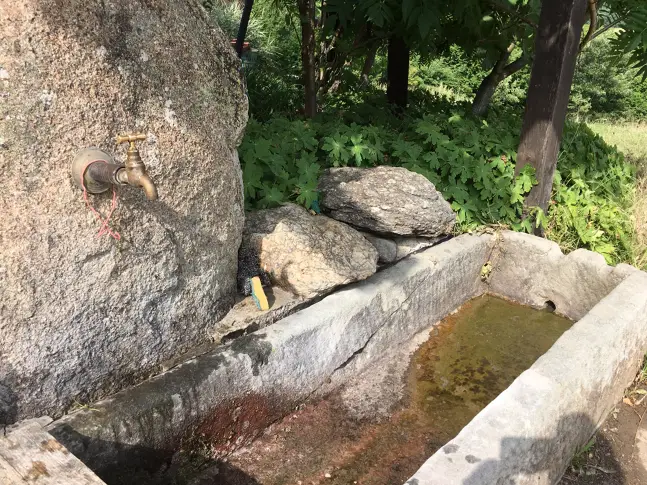 В петък слънчево и топло