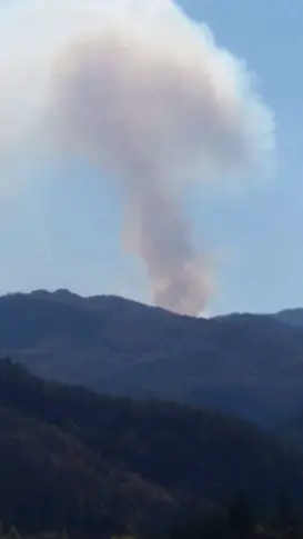 Горски пожар в Гръцко вдигна наши огнеборци по тревога, екипи ще дежурят на границата