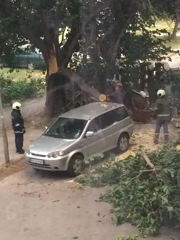След бурята снощи огромен клон затрупа кола