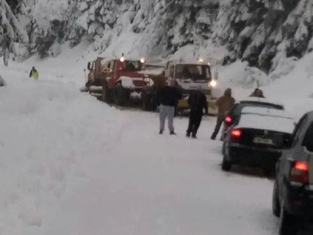 Заради снега: Паднали дървета и свлачища затрудняват движението по пътищата в Смолянско