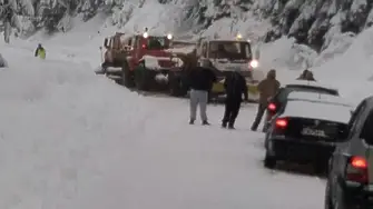 Заради снега: Паднали дървета и свлачища затрудняват движението по пътищата в Смолянско