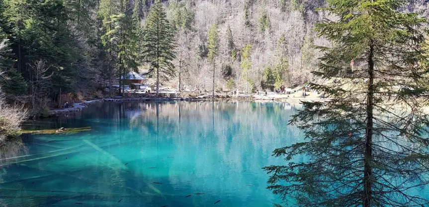 Синьото езеро Blausee - една от атракциите на Швейцария