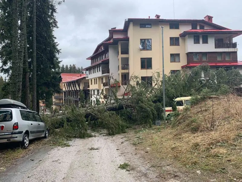 Четири автомобила смазани от паднали дървета в Пампорово, затвориха ски зоната в курорта