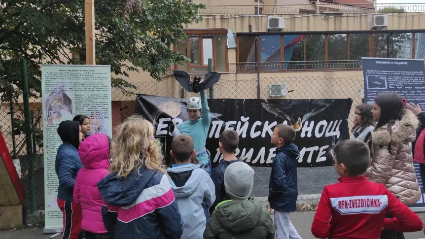 „Нощ на прилепите“ в Пловдив – от бозайниците зависи дори цената на хляба