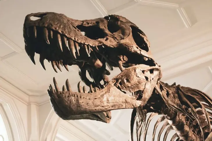 Открити са нови видове динозаври