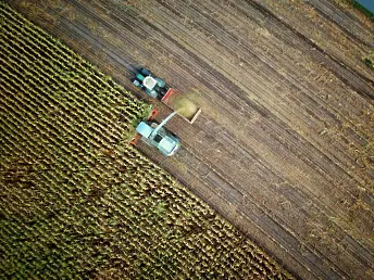 Успя ли Комисията по земеделието и храните да извърши сделки за закупуване на зърно?