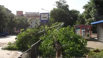 Десетки сигнали в Хасково и Кърджали заради силния вятър