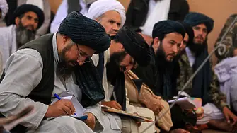 Талибаните забраниха отглеждането на мак за опиум