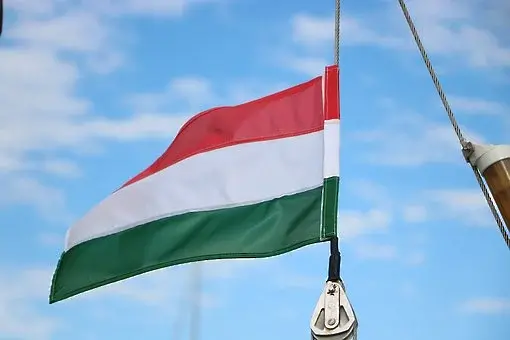 Унгария обвини Украйна в опит за намеса в изборите