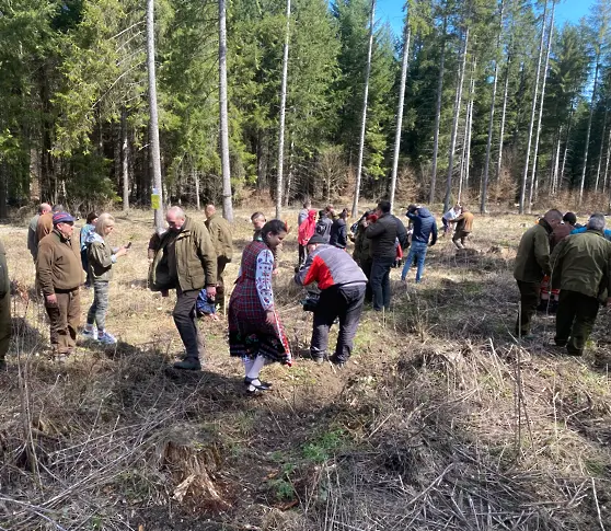 Над 100 дръвчета залесиха ученици и горски за по-зелено бъдеще на България