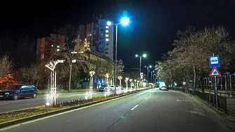 Японски вишни и декоративно осветление украсиха един от булевардите в Благоевград