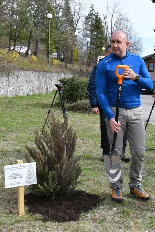 Президентът  даде старт на инициативата „Да засадим дърво, да възродим българската гора