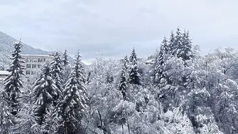 Нов сняг в Смолянско, най-много валя в района на Доспат