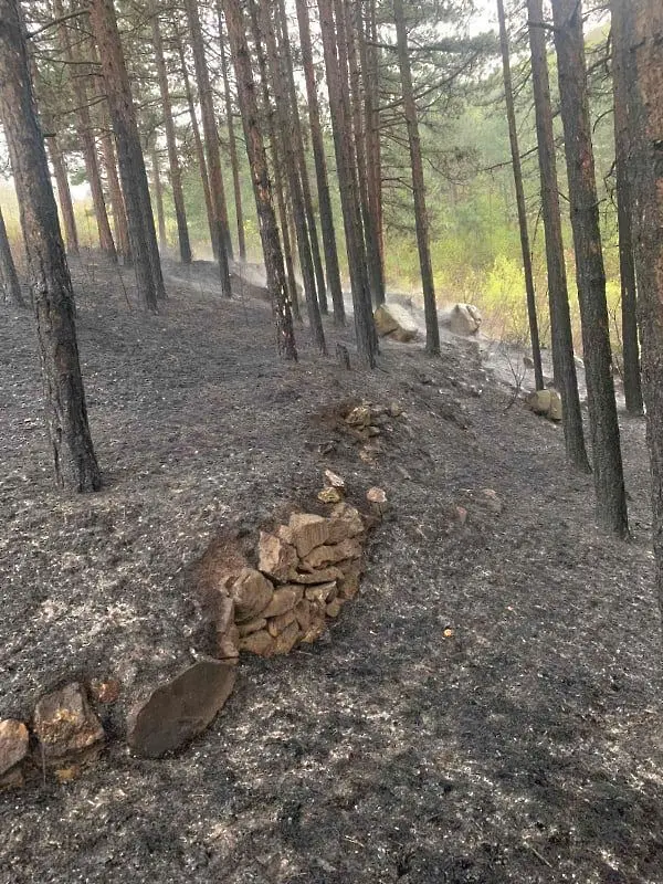 Пожар унищожи близо 5 декара гора в землището на Кричим