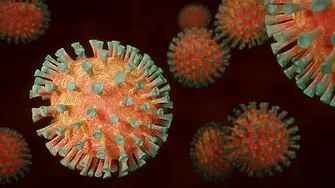 1252 нови случаи на коронавирус у нас за изминалото денонощие