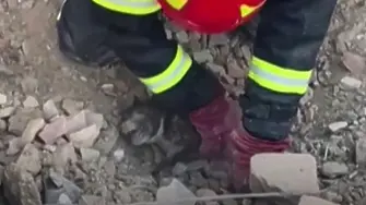 Спасиха кученце от развалините в Украйна (видео)