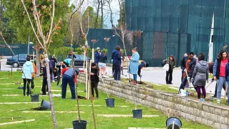 Засадиха над 100 японски вишни в парк „Македония“ в Благоевград