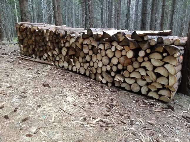 Очакват завишено търсене на дърва за огрев, разкриват два склада в Смолянско за снабдяване на населението 