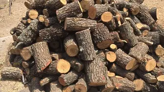 10 кубика незаконна дървесина откриха в частен имот в с. Връв