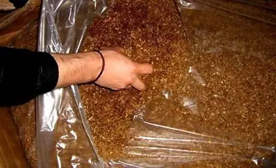 11 кг нарязан тютюн откриха при спецакция в Мездра