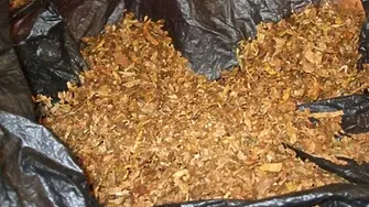 Намериха  близо 10 кг безакцизен тютюн в  дома на 29-годишна жена