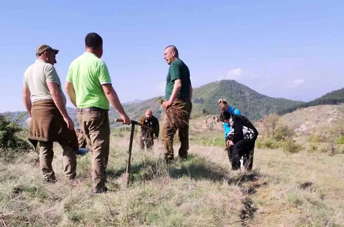 Горски и доброволци засадиха 3000 фиданки край Брежани